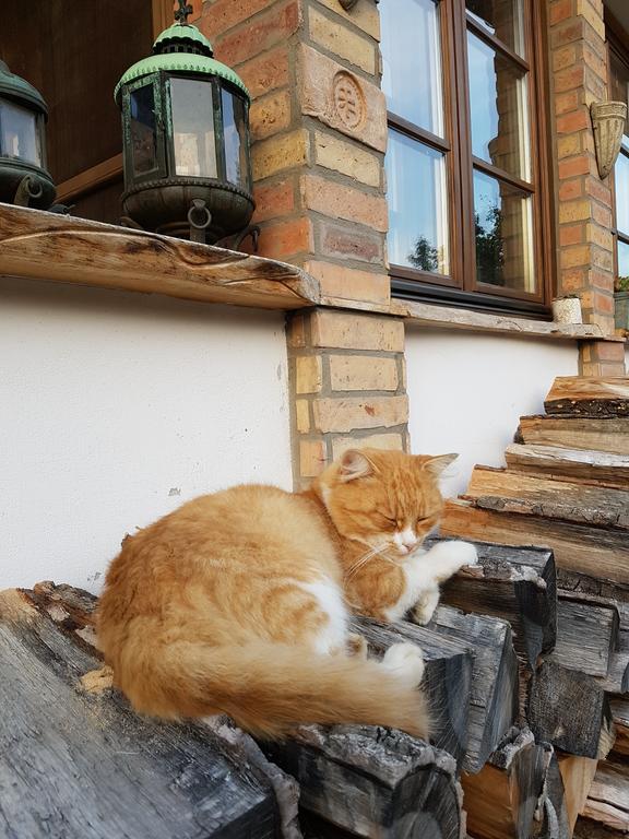Édes Otthon Vendégház Nagyborzsony Exterior foto